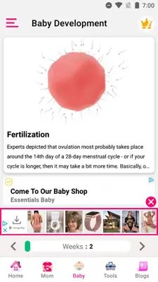 Pregnancy Calculator android App screenshot 10